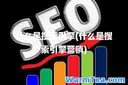 什么是搜索引擎(什么是搜索引擎营销)