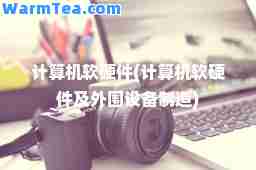 计算机软硬件(计算机软硬件及外围设备制造)