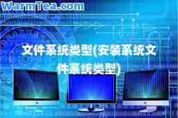 文件系统类型(安装系统文件系统类型)