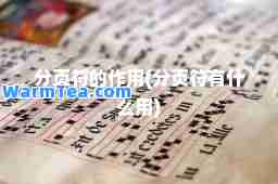 分页符的作用(分页符有什么用)