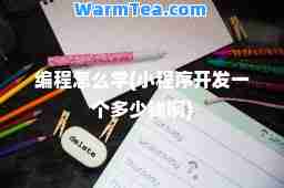 编程怎么学(小程序开发一个多少钱啊)