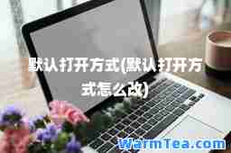 默认打开方式(默认打开方式怎么改)
