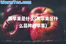 黑苹果是什么(黑苹果是什么品种的苹果)
