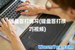 键盘盲打练习(键盘盲打技巧视频)