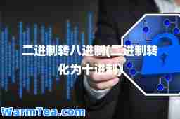 二进制转八进制(二进制转化为十进制)
