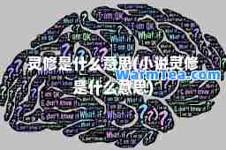 灵修是什么意思(小说灵修是什么意思)