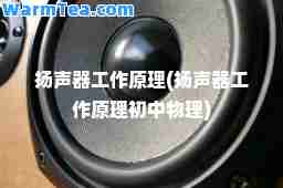 扬声器工作原理(扬声器工作原理初中物理)