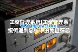 工资管理系统(工资管理系统传递到总账中的凭证在总账中可以进行)
