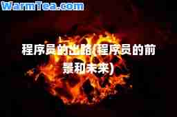 程序员的出路(程序员的前景和未来)
