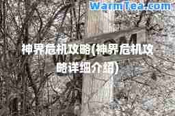 界危机攻略(界危机攻略详细介绍)