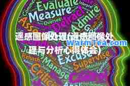 遥感图像处理(遥感图像处理与分析心得体会)