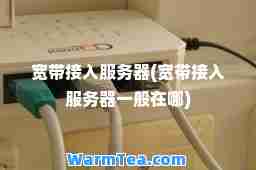 宽带接入服务器(宽带接入服务器一般在哪)