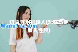 仿真性用机器人(怎样与硅胶人性胶)
