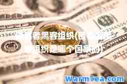 匿名者黑客组织(匿名者黑客组织是哪个国家的)