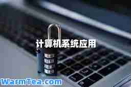 计算机系统应用