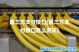 第三方支付接口(第三方支付接口怎么测试)
