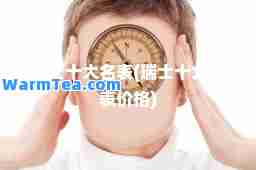 瑞士十大名表(瑞士十大名表价格)