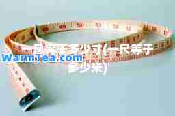 一尺等于多少寸(一尺等于多少米)