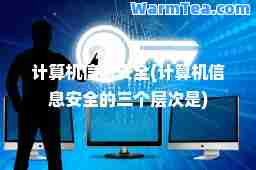 计算机信息安全(计算机信息安全的三个层次是)