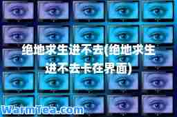绝地求生进不去(绝地求生进不去卡在界面)