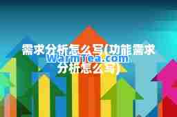 需求分析怎么写(功能需求分析怎么写)