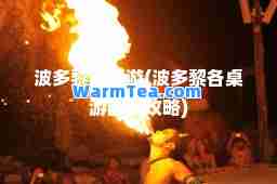 波多黎各桌游(波多黎各桌游战术攻略)