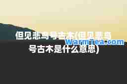 但见悲鸟号古木(但见悲鸟号古木是什么意思)