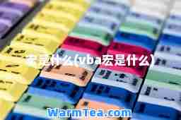 宏是什么(vba宏是什么)