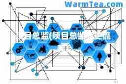 项目总监(项目总监变更流程)