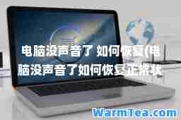 电脑没声音了 如何恢复(电脑没声音了如何恢复正常状态)