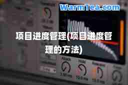 项目进度管理(项目进度管理的方法)