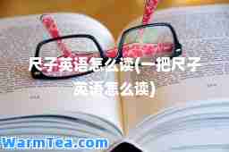 尺子英语怎么读(一把尺子英语怎么读)