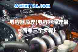 电容器原理(电容器原理最简单三个步骤)