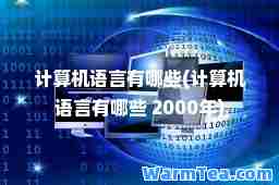 计算机语言有哪些(计算机语言有哪些 2000年)