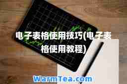 电子表格使用技巧(电子表格使用教程)