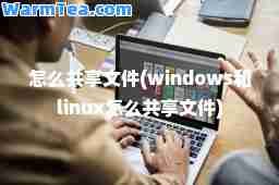 怎么共享文件(windows和linux怎么共享文件)