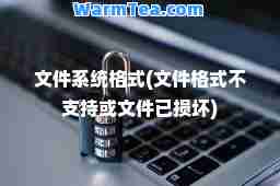 文件系统格式(文件格式不支持或文件已损坏)