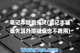笔记本键盘失灵(笔记本键盘失灵外接键盘也不能用)