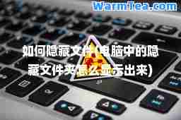 如何隐藏文件(电脑中的隐藏文件夹怎么显示出来)