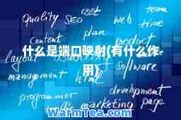 什么是端口映射(有什么作用)