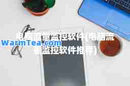 电脑流量监控软件(电脑流量监控软件)