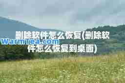 删除软件怎么恢复(删除软件怎么恢复到桌面)