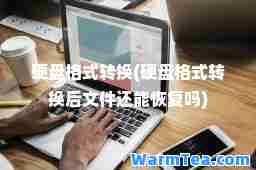 硬盘格式转换(硬盘格式转换后文件还能恢复吗)