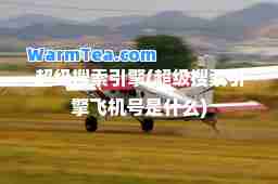 超级搜索引擎(超级搜索引擎飞机号是什么)