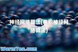 经网络算法(卷积经网络算法)