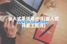 嵌入式系统设计师(嵌入式开发工程师)