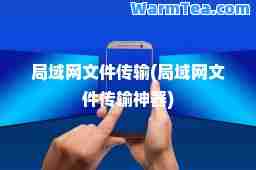 局域网文件传输(局域网文件传输器)