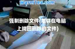 强制删除文件(怎样在电脑上找回删除的文件)