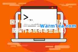 国产电脑操作系统(国产电脑操作系统有哪些品牌)