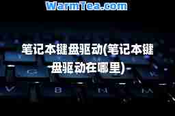 笔记本键盘驱动(笔记本键盘驱动在哪里)